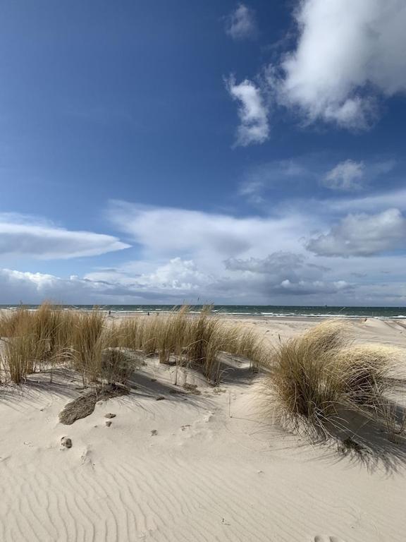 Villa Seeblick Warnemuende - Fewo Mit Meerblick Und Balkon Direkt Am Strand Fuer 2-4 Pers Rostock Exterior foto